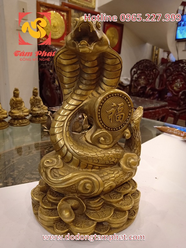 y-nghia-va-cach-dat-tuong-ran-trong-phong-thuy2