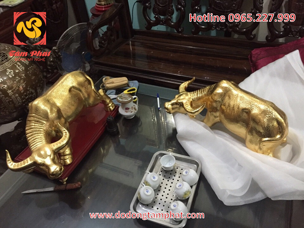 Tượng trâu bằng đồng mạ vàng với nét đẹp khỏe khoắn, sang trọng