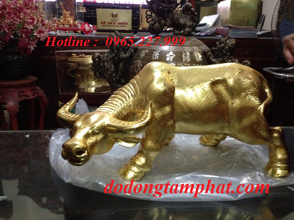Tượng trâu bằng đồng mạ vàng với nét đẹp khỏe khoắn, sang trọng