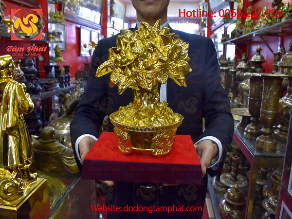 Cây tiền chiêu lộc bằng đồng thếp vàng 9999 cao 35cm